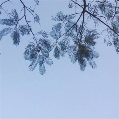 叱咤封神官方下载